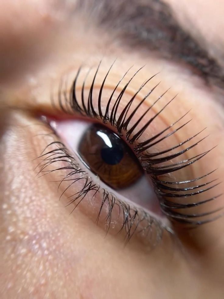 La Brush | Lashes Barcelona •manicure•pedicure•hair service•depilación•hair extensions - photo 2